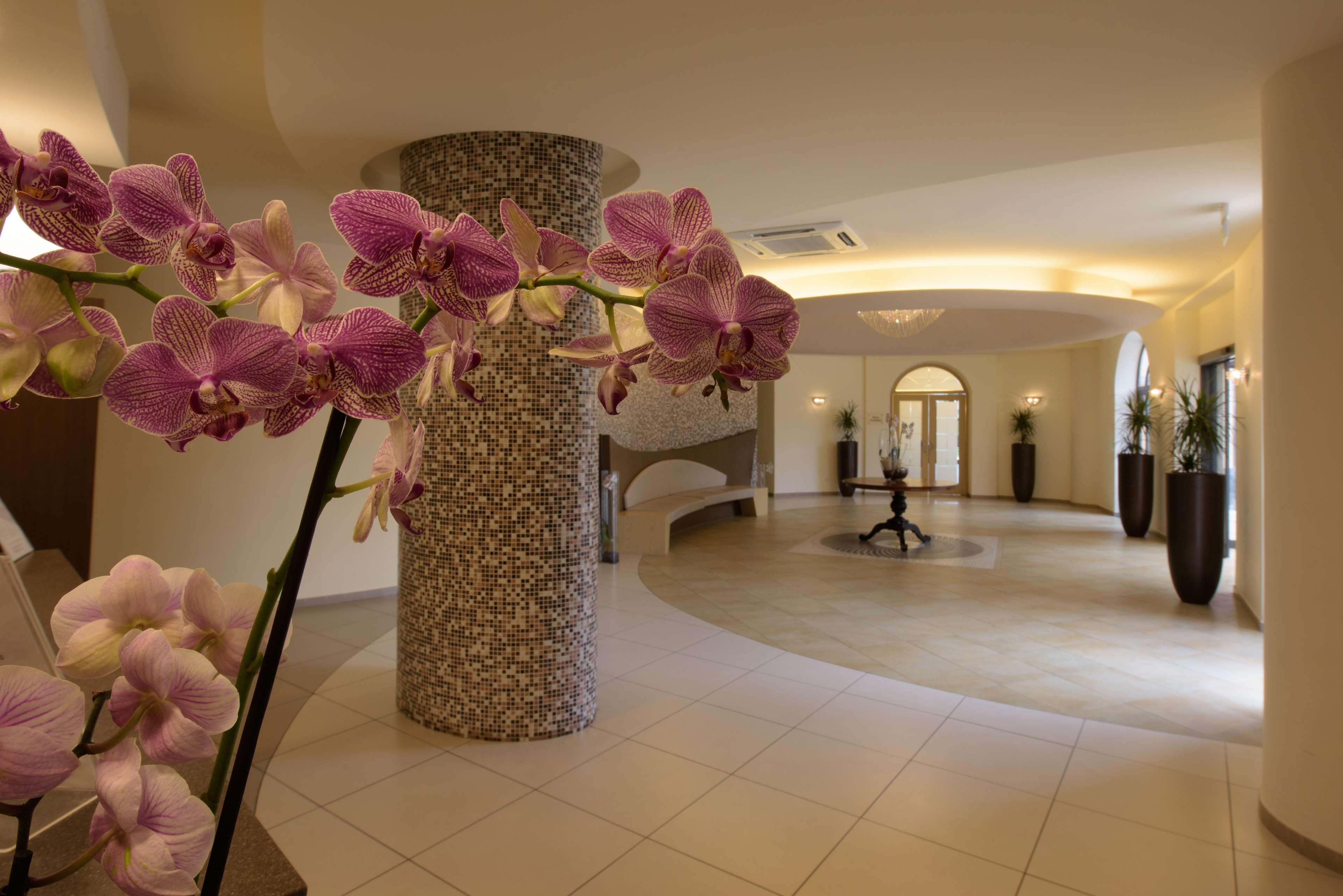 San Severino Park Hotel & Spa, BW Signature Collection メルカート・サン・セヴェリーノ エクステリア 写真